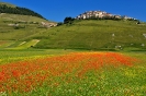 Italy Umbria_71
