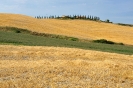 Toscana Itally_6